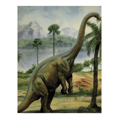 Apatosaurus (Brontosaurus) Eating Illustration Posters by crittercircus