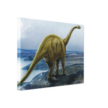 Apatosaurus (Brontosaurus) Illustration Gallery Wrapped Canvas