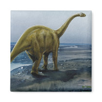 Apatosaurus (Brontosaurus) Illustration Fridge Magnet