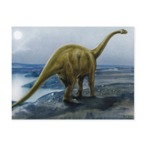 Apatosaurus (Brontosaurus) Illustration Postcard