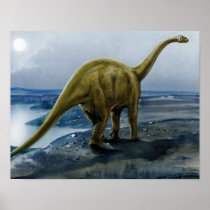 Apatosaurus (Brontosaurus) Illustration Poster