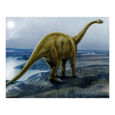Apatosaurus (Brontosaurus) Illustration Poster by crittercircus
