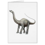 Apatosaurus Cards