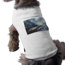 Apatosaurus or Brontosaurus Dog Tee
