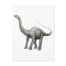 Apatosaurus Postcards