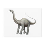 Apatosaurus Post Cards