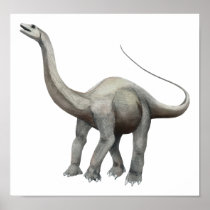 Apatosaurus Poster
