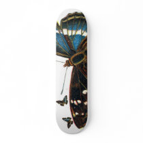 Apatura iris male, Apatura iris male, Apatura i... Custom Skate Board