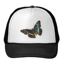 Apatura iris male mesh hat
