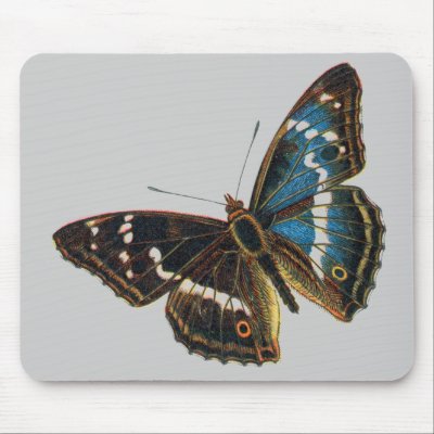 Apatura iris male mouse mats by FlutterByButterfly