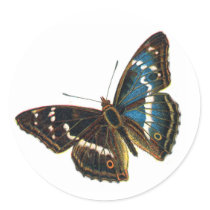 Apatura iris male stickers