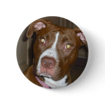 APBT American Icon & Family dog Pin