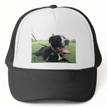 APBT American Icon & Family dog Trucker Hats