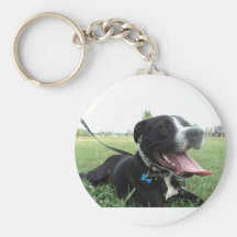 APBT American Icon & Family dog Key Chains
