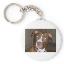 APBT American Icon & Family dog Keychain