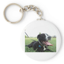 APBT American Icon & Family dog Keychains