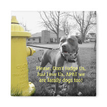APBT American Icon & Family dog Magnets