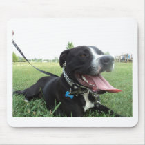 APBT American Icon & Family dog Mouse Pads