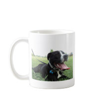 APBT American Icon & Family dog Coffee Mug
