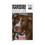 APBT American Icon postage
