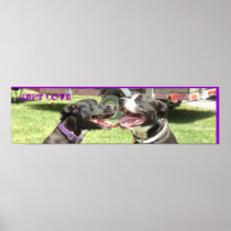 APBT LOVE POSTER