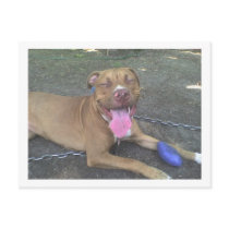 APBT postcard