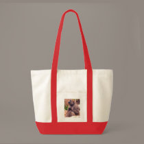 Ape 2 bags