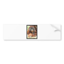 ape-5 bumper sticker