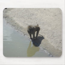 Ape at water place mousepads