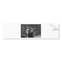 Ape Card Bumper Stickers
