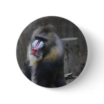Ape Card Pinback Button
