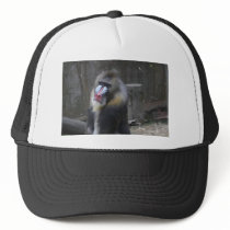 Ape Card Mesh Hat
