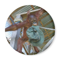 Ape for Green magnets by Rebecca_Reeder Ape for Green magnets