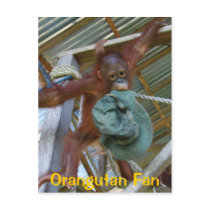 Ape for Green Post Card