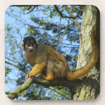 Ape on the tree coasters