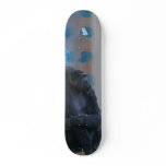 Ape skateboards