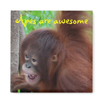 Apes are Awesome magnets by Rebecca_Reeder Apes are Awesome magnets