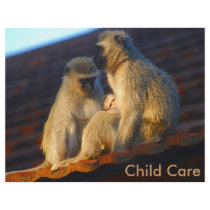 Apes family moments flyer