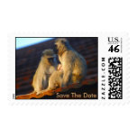 Apes family moments stamps