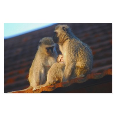 Apes family moments stationery paper by laureenr