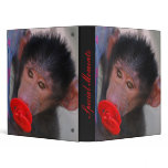 Apes for dummies 3 ring binders