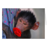 Apes for dummies cards