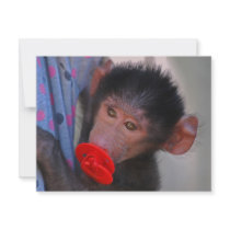 Apes for dummies custom announcements