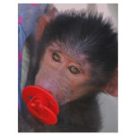 Apes for dummies full color flyer