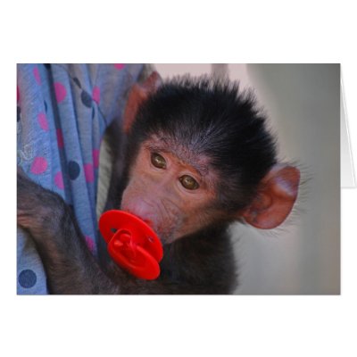 Apes for dummies greeting card by laureenr