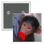Apes for dummies pins
