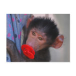 Apes for dummies post card