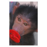 Apes for dummies stationery