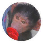 Apes for dummies stickers