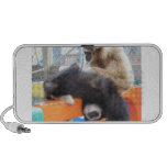APES Goods for Good Gibbon Speakers